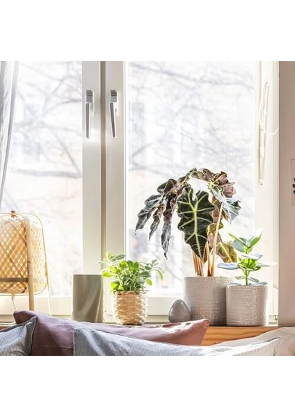 Chıafrön Seramik Saksı, Beyaz, 12 cm fiyatları