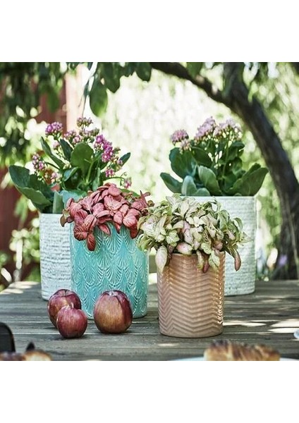 Chıafrön Seramik Saksı, Beyaz, 12 cm modelleri