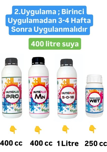 Tüm Sezon Için Fındık Uygulama Paket Gübre Satışı Azotlu Fosforlu Potasyumlu Tüm Mikroelementler