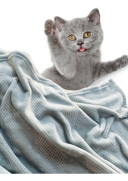 Gri Tarzı 50X70CM Evcil Hayvan Battaniyesi Köpek Peluş Havlu Battaniye Polar Yatak Örtüsü Evcil Hayvanlar Mat Yatak Için Sıcaklık Örtüsü (Yurt Dışından) indirimleri