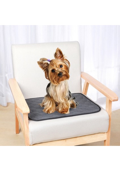 Açık Gri Tarzı 50X40CM Evcil Köpek Yıkanabilir Bez Minder Üç Katmanlı Su Geçirmez Pet Malzemeleri Bezler Tekrar Kullanılabilir Eğitim Matı Hayvan Tavşan Kedi Koltuk Kılıfı (Yurt Dışından) fırsatları