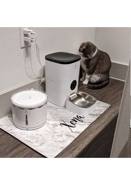 Bir Stil 40X25CM Köpek Kedi Için Özel Ad Desenli Kolay Yıkanabilen Pet Yemlik Matı Pet Mat Kap Tabak Pet Mat Su Içme Matı Pet Mat Mama Matı Pu Malzeme Özelleştirilmiş Isim Deseni (Yurt Dışından) indirimleri