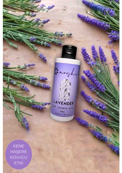Saf Lavanta Suyu 150 ML