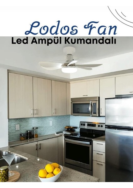 Lodos Fan Vantilatör Aydınlatma Kumandalı