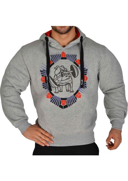 Kapşonlu Gri Kışlık Sweater Big Sam 4697 fiyatları