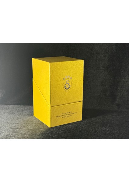 Galatasaray 24.şampiyonluk Gümüş (Okside) Hatıra Parası - Kutulu