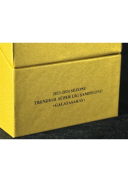 Galatasaray 24.şampiyonluk Gümüş (Okside) Hatıra Parası - Kutulu fırsatları