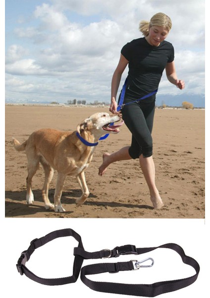 Köpek Eller Serbest Gezdirme Alıştırma Bel Tasması Köpek Spor Koşu Tasması
