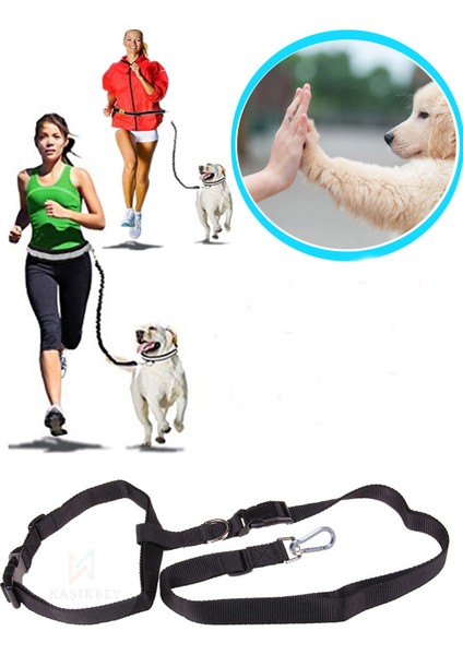 Köpek Eller Serbest Gezdirme Alıştırma Bel Tasması Köpek Spor Koşu Tasması fiyatları