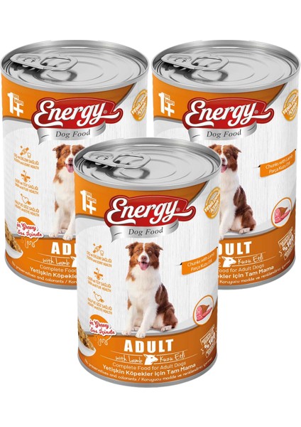 Kuzu Etli Yetişkin Yaş Konserve Köpek Maması 400 gr 3 Adet