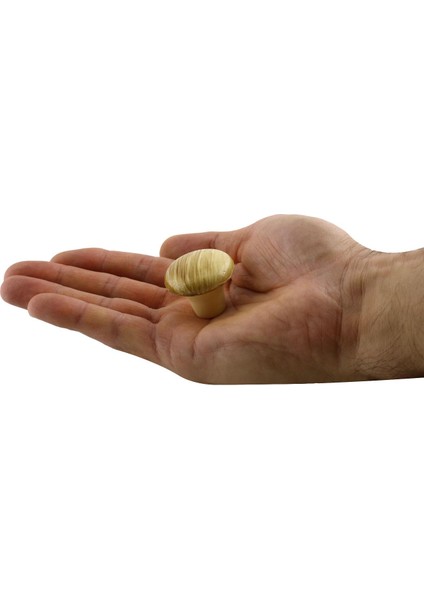 Mobilya Düğme Sert Plastik Kulp Kayın Dolap Mutfak Dolabı Çekmece Kapak Kulpu Kulbu 5 Adet