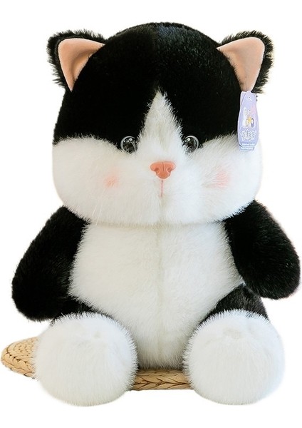 40 cm Yeni Şeftali Kedi Bebek Kedi Peluş Oyuncak (Yurt Dışından)