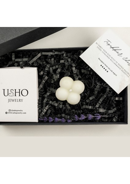 Usho Jewelry Pırlanta Modeli Damla Şık Kolye 925 Ayar Gümüş