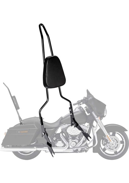 Harley Davidson Sissy Bar