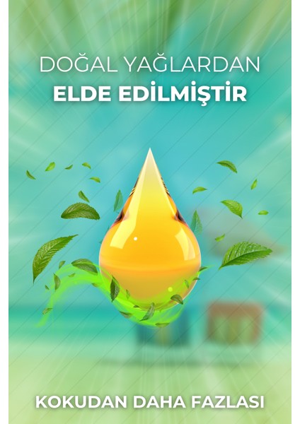 Yaz Seti Esansiyel Uçucu Yağ Buhurdanlık Yağı Hava Nemlendirici Aroma Difüzörü Kokusu Esans 6x fiyatları