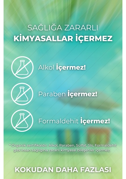 Yaz Seti Esansiyel Uçucu Yağ Buhurdanlık Yağı Hava Nemlendirici Aroma Difüzörü Kokusu Esans 6x indirimleri