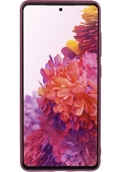 Samsung Galaxy S20 Fe 5g / S20 Fe / S20 Fe 2022 / S20 Lite Mat Tpu Telefon Kapağı (Yurt Dışından)