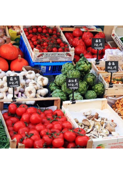 10 Adet Ayarlanabilir Plastik Işaret Tutucu, Klipsli Stil Çift Ekran Klipleri Dönen Yeniden Kullanım Işareti Fiyat Etiketi Mağaza Için (Yurt Dışından) fiyatları