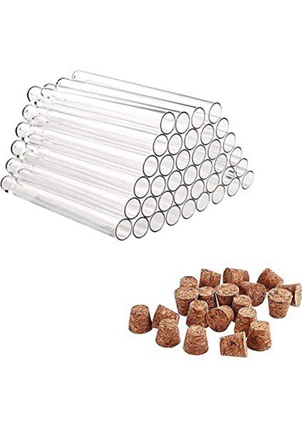 Mantarlı 40'lı Plastik Test Tüpleri Paketi 20ML Çiçekler Için Test Tüpleri, Dıy Craft Için Şeker Sıvılar Baharatlar Çiçekler, 150X16MM (Yurt Dışından)