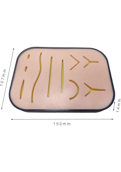 Öğrenciler Oral Debridman, Düğüm Simülasyonu Cilt Yarası Silikon Akupunktur Modülü Dikiş Uygulama Modeli (Yurt Dışından) fiyatları