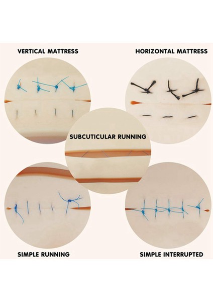 Öğrenciler Oral Debridman, Düğüm Simülasyonu Cilt Yarası Silikon Akupunktur Modülü Dikiş Uygulama Modeli (Yurt Dışından) modelleri