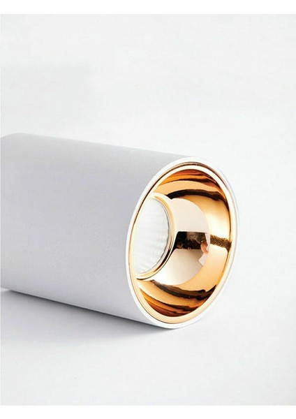 Dekoratif Silindir Beyaz/gold LED Spot Aydınlatma