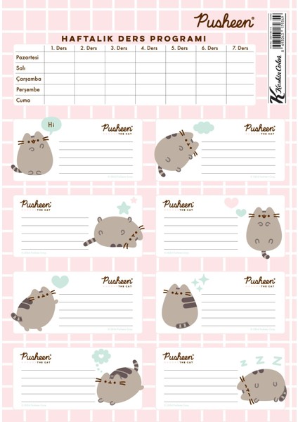 Pusheen Ders Programlı 3lü Etiket