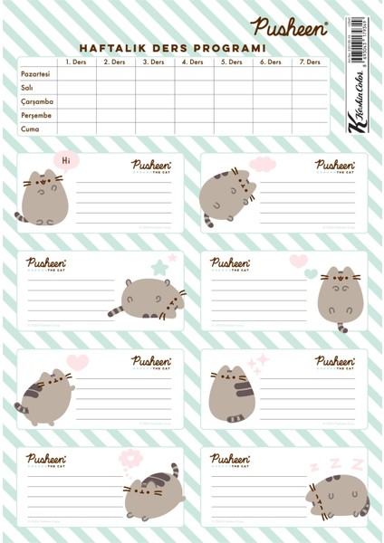 Pusheen Ders Programlı 3lü Etiket fiyatları