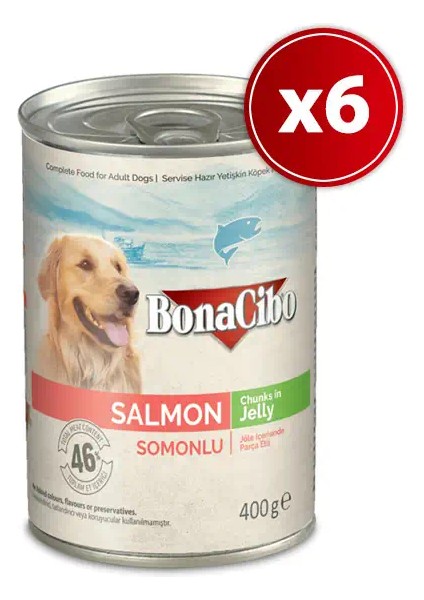 Jöleli Somonlu Yaş Yetişkin Köpek Konserve Maması 400 gr x 6 Adet