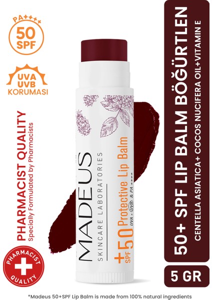 SPF 50+ Yoğun Nemlendirici ve Dolgunlaştırıcı Renkli Dudak Balmı Böğürtlen 5 GR