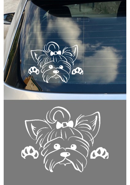 Yorkshire Terrier Resmi Oto Araba Cam Sticker Çıkartma Bilgisayarlar,kamyonlar,motosikletler Için