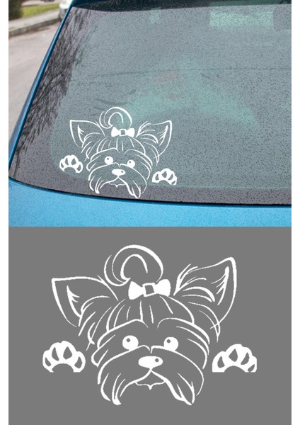 Yorkshire Terrier Resmi Oto Araba Cam Sticker Çıkartma Bilgisayarlar,kamyonlar,motosikletler Için