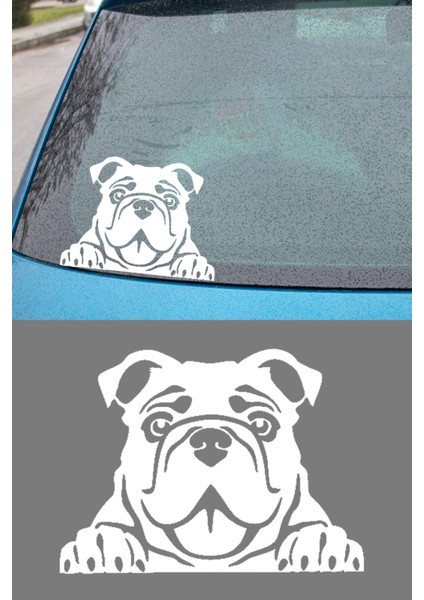 Amerikan Bulldog 2 Resmi Oto Araba Cam Sticker Çıkartma Bilgisayarlar,kamyonlar,motosikletler Için