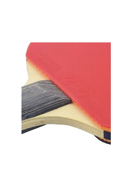 TR100 Masa Tenis Raketi fiyatları