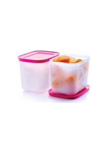 Tupperware Alaska 2'li Set Saklama Kabı