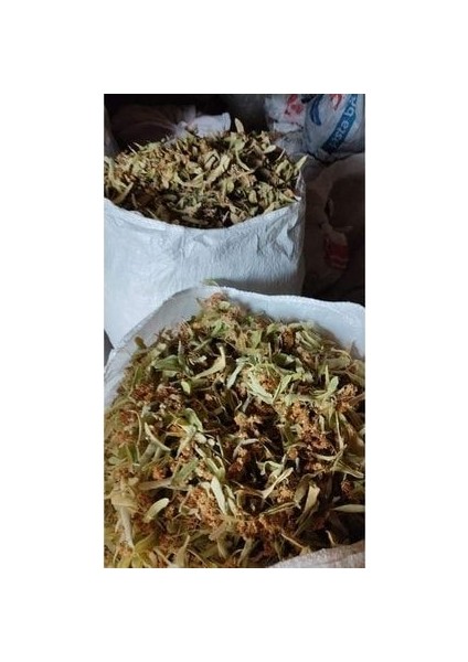 Ihlamur (1 Kg) fiyatları