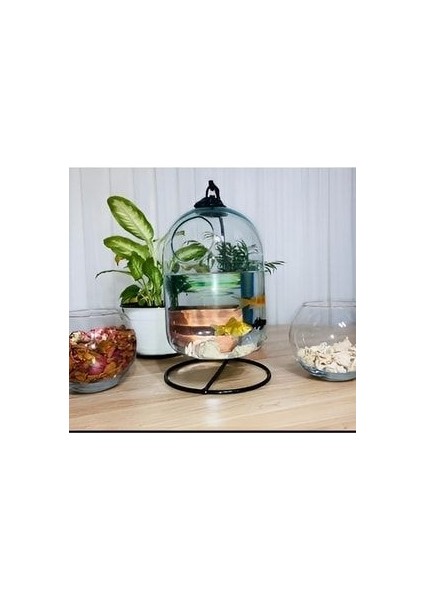 Genel Markalar Akvaryum / Fanus / Ferforjeli Akvaryum Askılı Fanus Teraryum