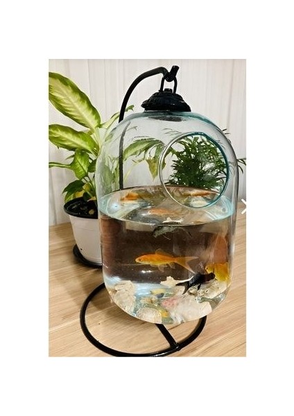 Genel Markalar Akvaryum / Fanus / Ferforjeli Akvaryum Askılı Fanus Teraryum fırsatları