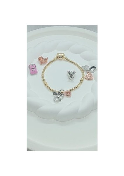 Kalp Klipsli Yılan Zincir Bileklik , Pandora Charm Uyumlu (316L Kararmaz Çelik) fırsatları