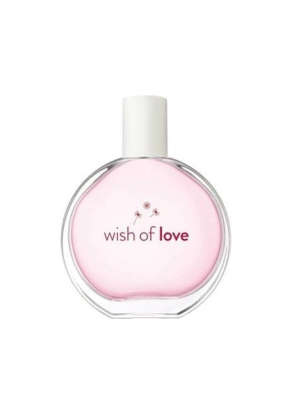 Attraction Edp 50 ml Kadın + Wish Of Love Edt 50ML Kadın Seti fiyatları