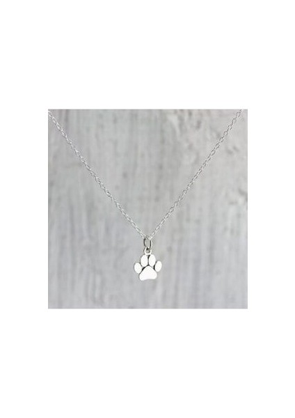 Genel Markalar Kadın Pati 925 Ayar Gümüş Kolye modelleri