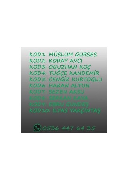925 Ayar Gümüş Spotify Bileklik fiyatları