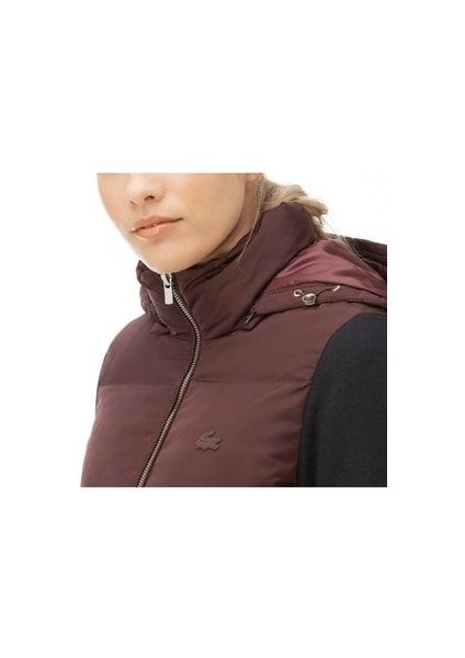 Kadın Mor Kapitone Mont modelleri