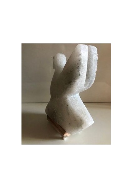 Çankırı Kuş Tuz Lambası indirimleri