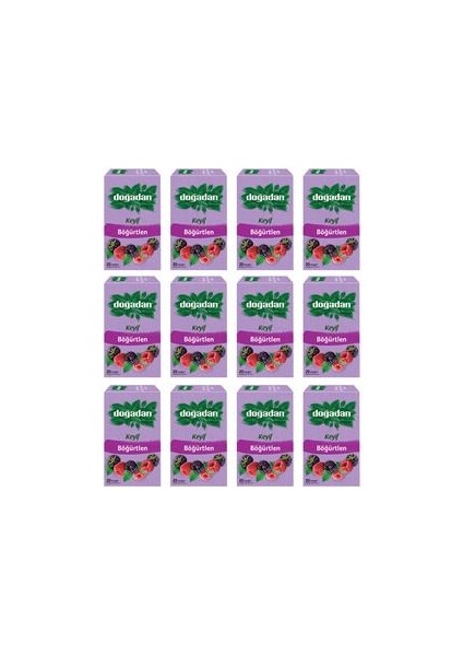 Böğürtlen Poşet Çayı 20LI x 12 Paket (1 Koli) fiyatları