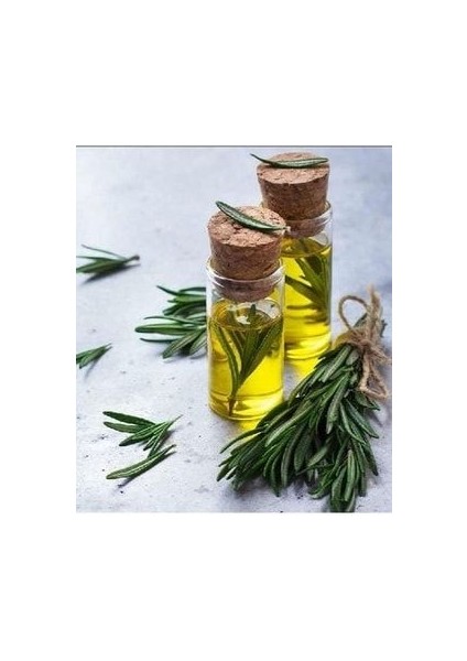 Biberiye Yağı 20 Ml. 1. Kalite Bitkisel Uçucu Yağ Biberiye Yağı