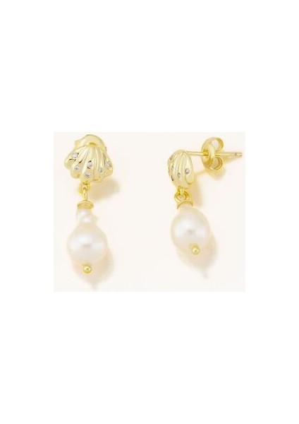 18 Ayar Altın Kaplama Gümüş Deniz Kabuğu Sallantılı Inci Küpe