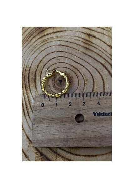 Halka Sarmaşık Model Altın Kaplama Şarnel 20 mm Kadın Gümüş Küpe modelleri