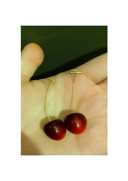 Çelik Altın Kaplama Kiraz Küpe modelleri