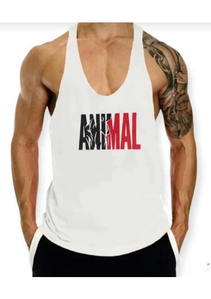 Fitness Atlet